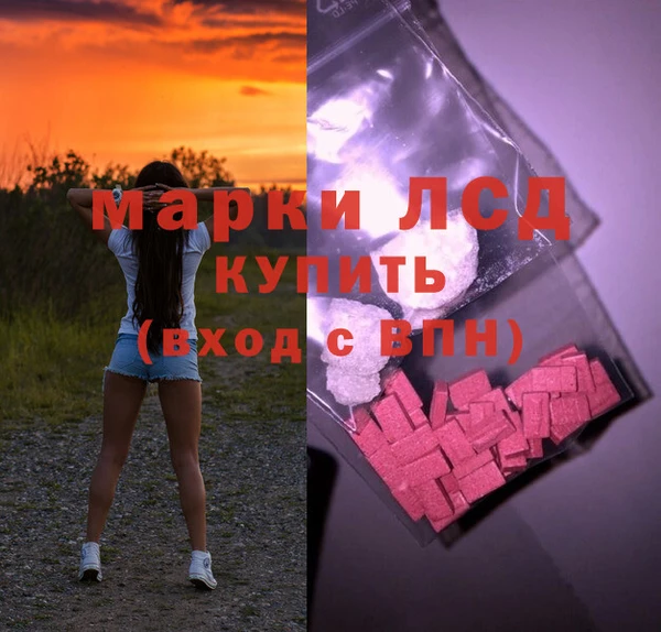 шишки Баксан