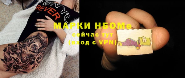 шишки Баксан