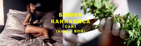 шишки Баксан