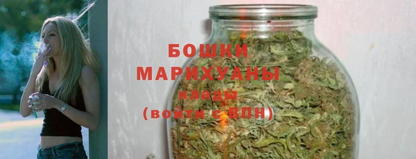 шишки Баксан