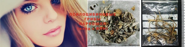 шишки Баксан