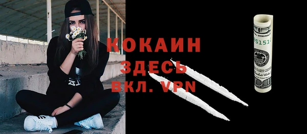 шишки Баксан