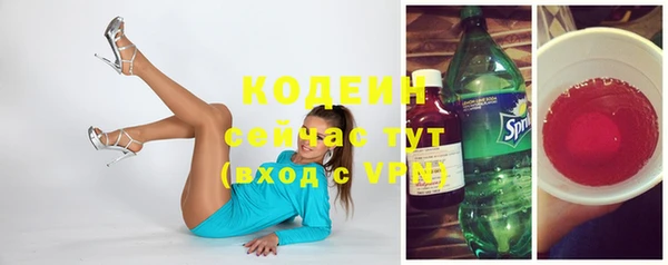 шишки Баксан