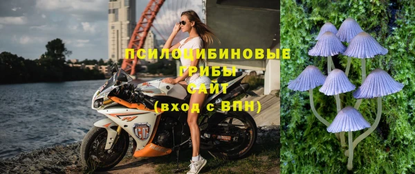 мяу мяу мука Балабаново