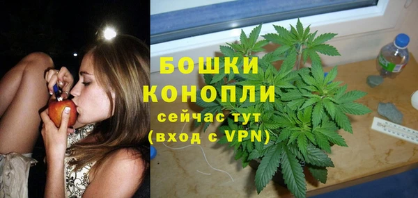 сатива Балахна