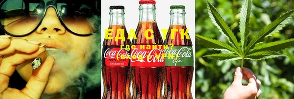сатива Балахна