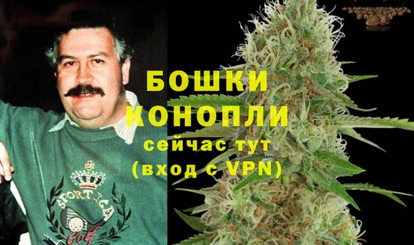 сатива Балахна