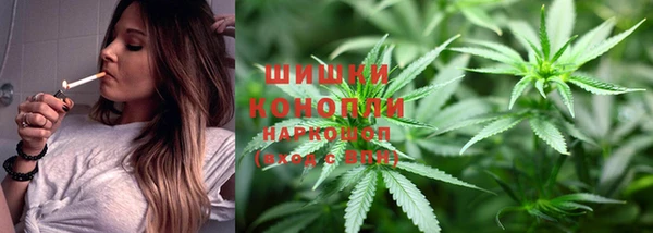 шишки Баксан